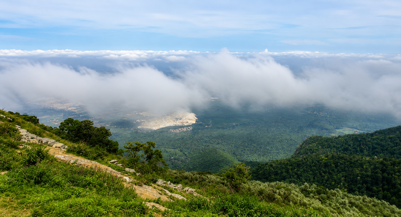 Yercaud Stays Banner